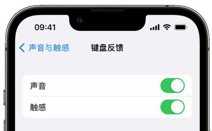 京口苹果手机维修分享iPhone 14触感键盘使用方法 