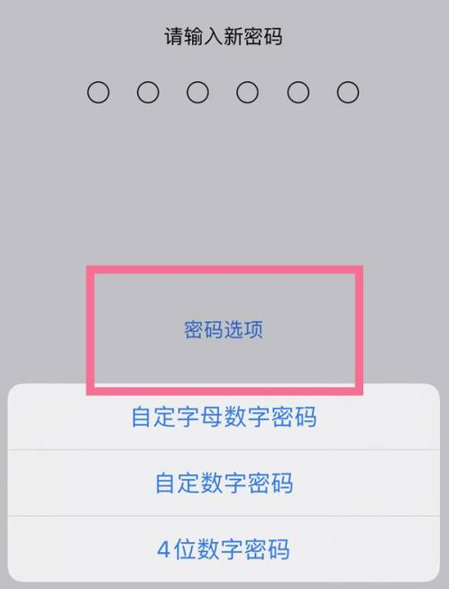 京口苹果14维修分享iPhone 14plus设置密码的方法 