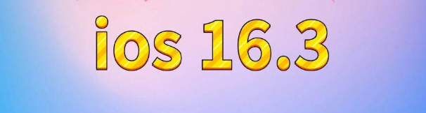 京口苹果服务网点分享苹果iOS16.3升级反馈汇总 