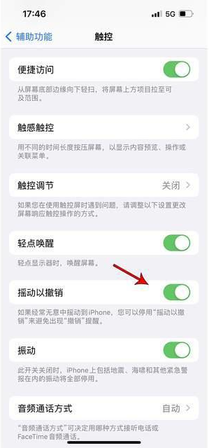 京口苹果手机维修分享iPhone手机如何设置摇一摇删除文字 