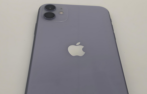 京口苹果11系统维修分享iPhone11手机系统崩溃无法开机如何解决